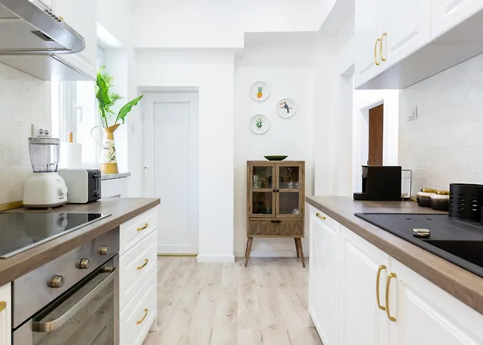 Apartament Welcome To The Jungle! *