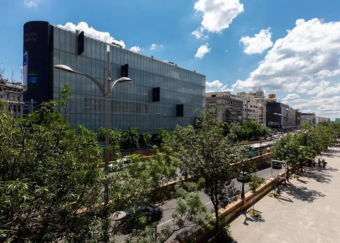 Welcome To The Jungle! Apartament Bucureşti